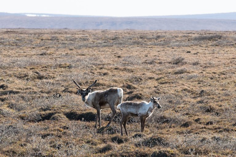 Cycling the Dalton Highway – Highlux Photography